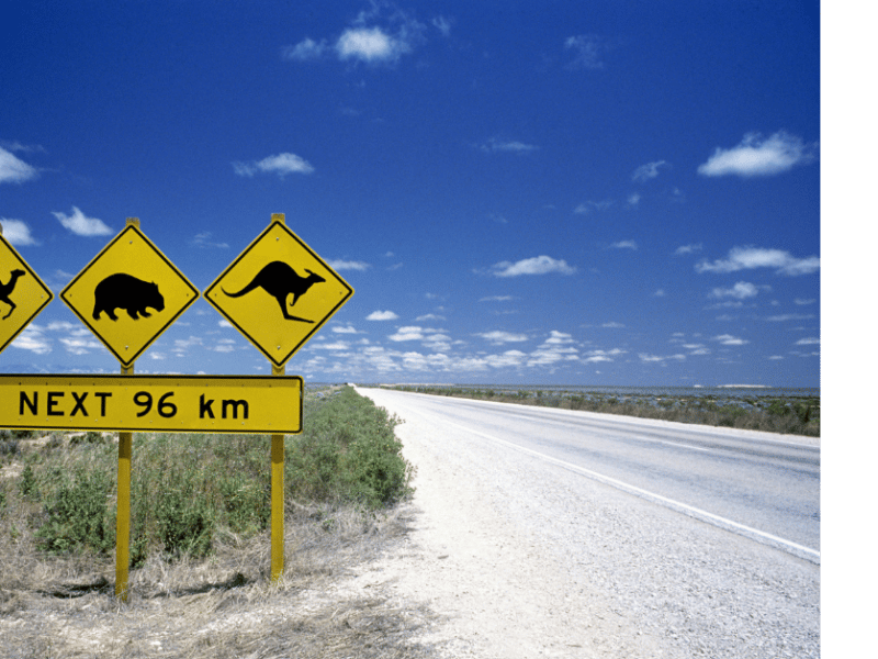 Animales en Australia, señales de tráfico